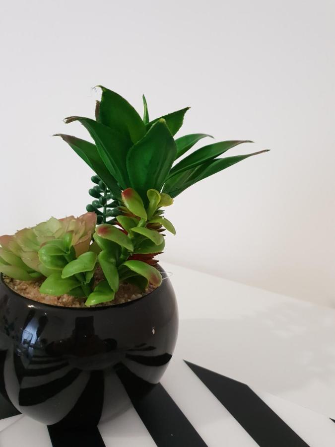 カターニア Perla Sicula Bed & Breakfast エクステリア 写真